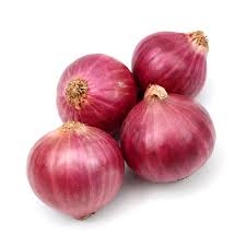 بصل اخضر