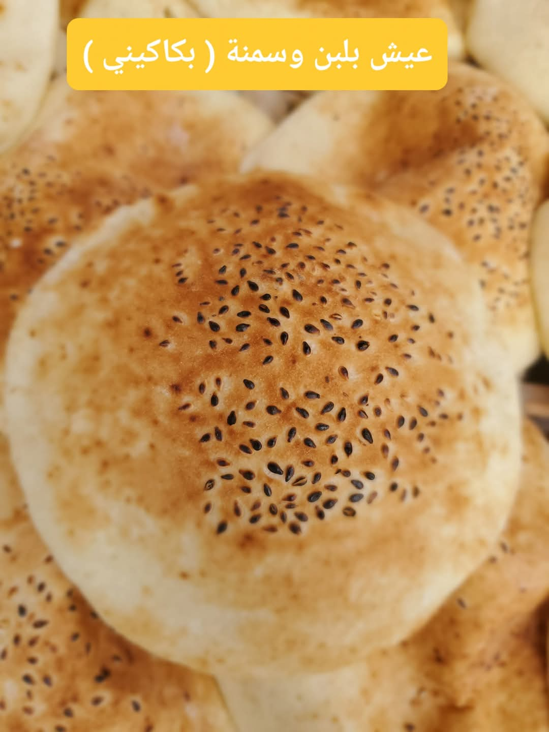 عيش بكاكيني