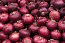 بصل أحمر